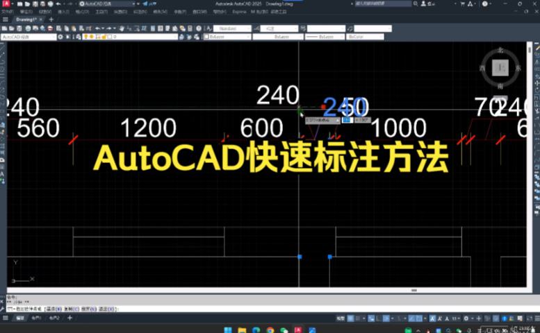 如何确定autocad许可文件的版本？